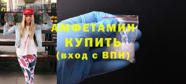прущий лед Вяземский