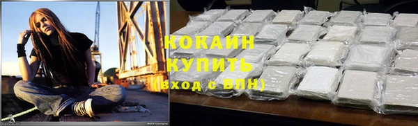 PSILOCYBIN Вязники