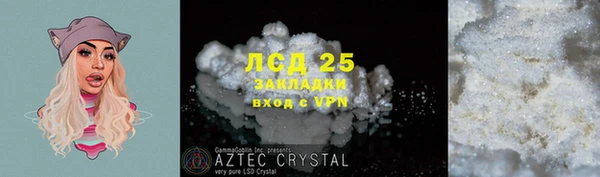 PSILOCYBIN Вязники