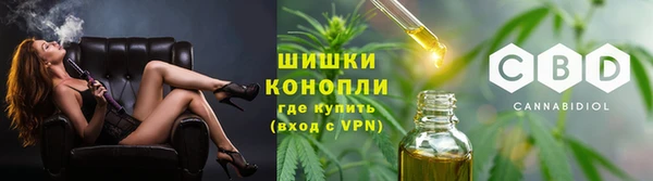 прущий лед Вяземский