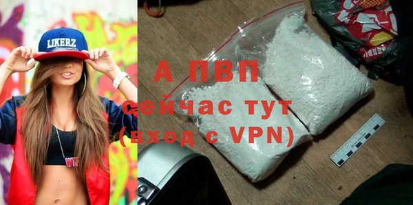 прущий лед Вяземский