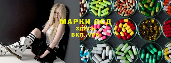 PSILOCYBIN Вязники
