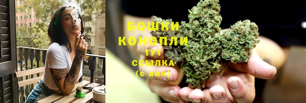 PSILOCYBIN Вязники